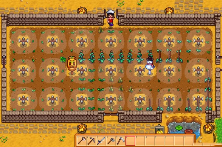 Stardew Valley 1.6: How to cultivate Summer Spangle