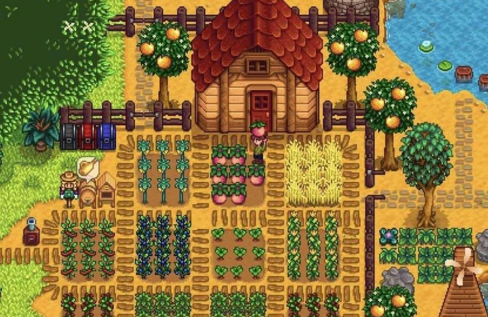 Stardew Valley 1.6: How to cultivate Summer Spangle