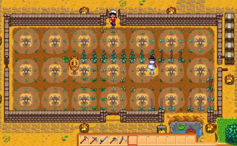Stardew Valley 1.6: How to Cultivate Summer Spangle