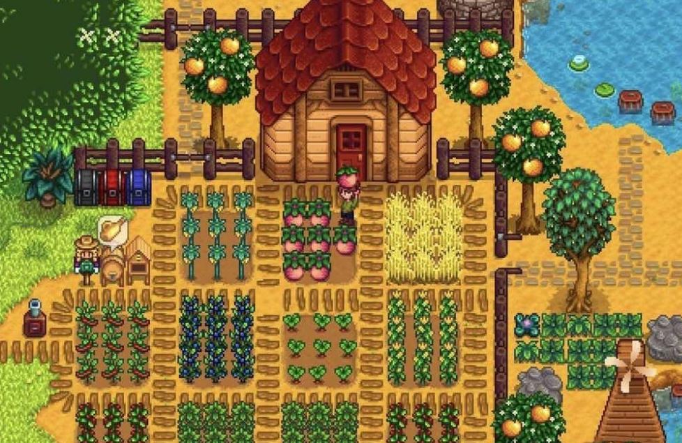 Stardew Valley 1.6: How to Cultivate Summer Spangle