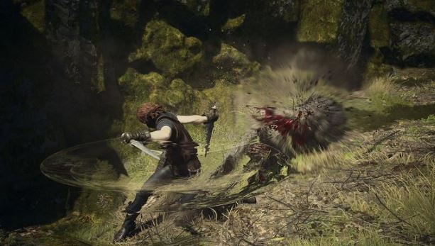 Dragon's Dogma 2: Mechanizm współdzielenia towarzysza
