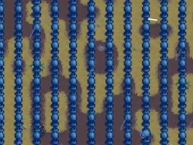 スターデューバレー:温室を素早く解除する方法