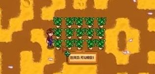 スターデューバレー:温室を素早く解除する方法