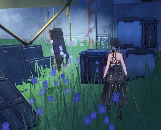 Wuthering Waves: Touch-and-Go Mission Guide